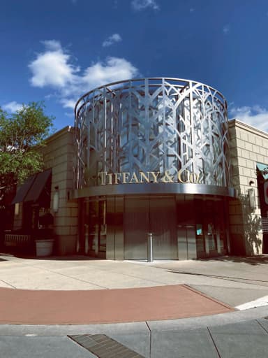 Studiu de caz: Tiffany & Co. x Elsa Peretti – cum o colaborare legendară a redefinit bijuteriile moderne