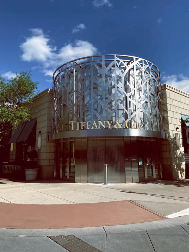 Studiu de caz: Tiffany & Co. x Elsa Peretti – cum o colaborare legendară a redefinit bijuteriile moderne