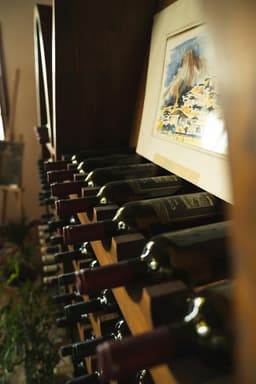 Arta degustării vinului: experiențe oenologice premium în podgoriile din România